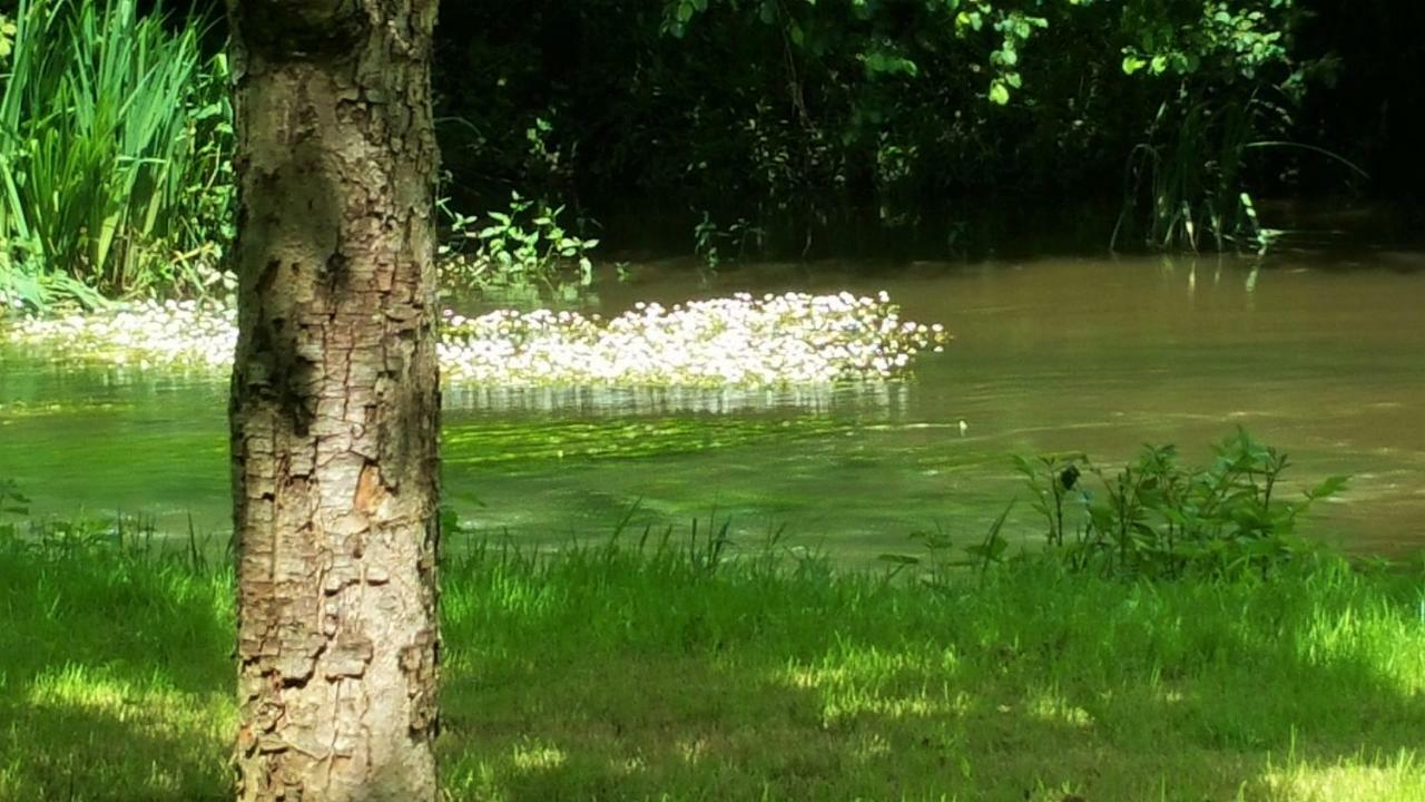 Le Savoir Vivre Bonnes (Charente) Exterior foto